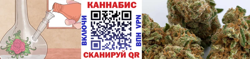 Купить где  Глазов  Бошки марихуана план 
